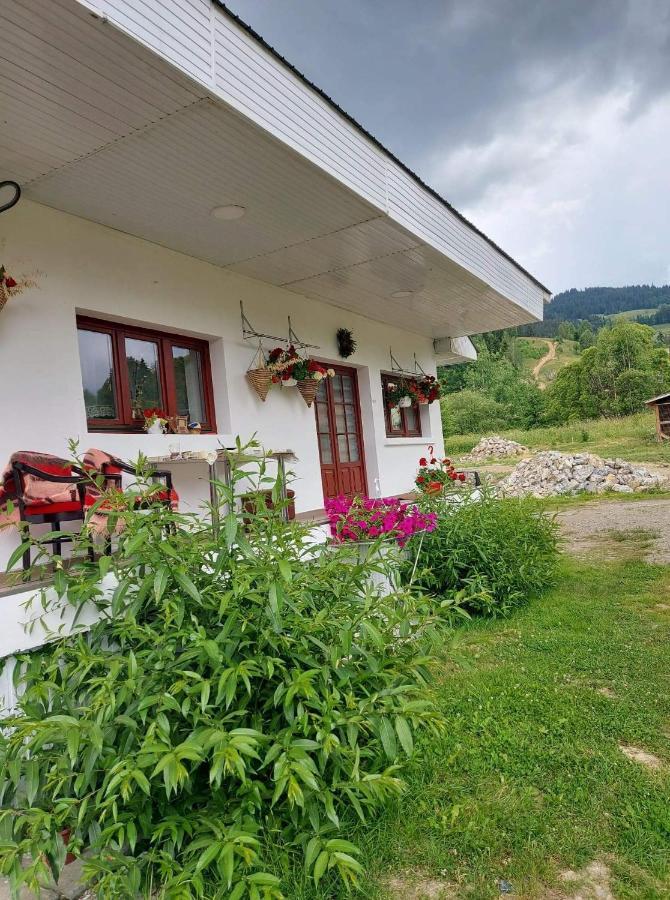 Casa Rodica Apartman Dornavátra Kültér fotó