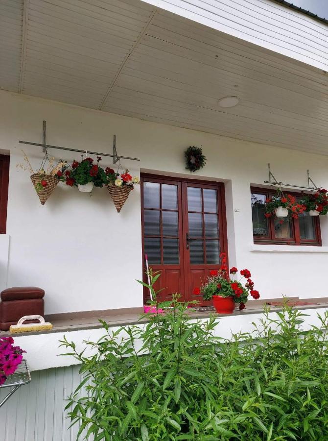 Casa Rodica Apartman Dornavátra Kültér fotó