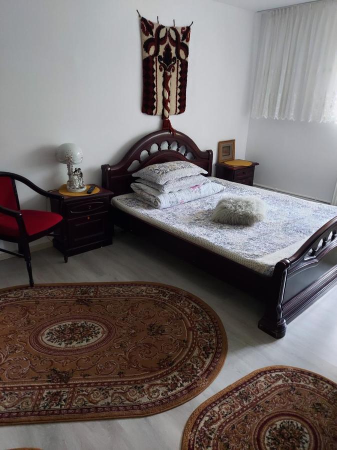 Casa Rodica Apartman Dornavátra Kültér fotó